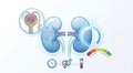  Υπολογιστής eGFR (εξισώσεις CKD-EPI 2021) 